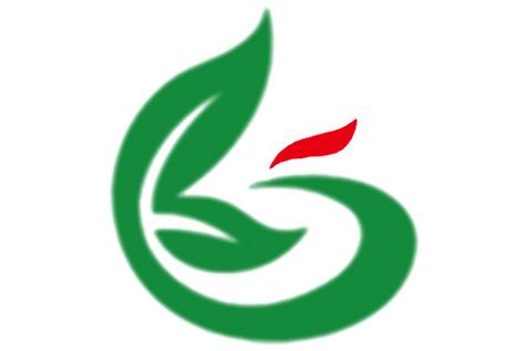 張毅濤 以網(wǎng)絡(luò)技術(shù)服務(wù)驅(qū)動企業(yè)營銷新增長